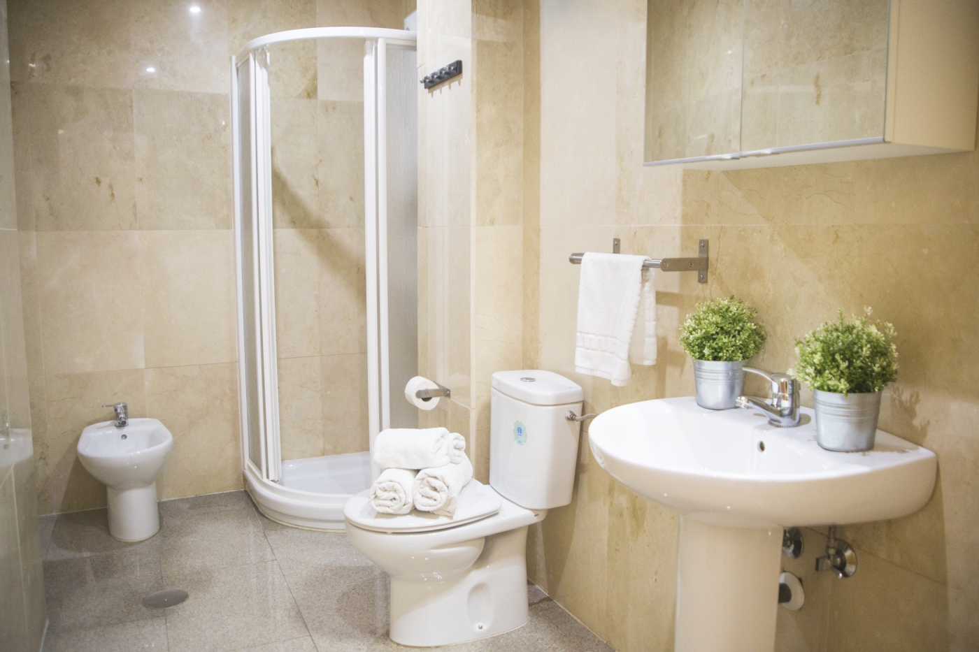 image MALAGA CENTER FLAT 4SEASONS MEZQUITILLA 10