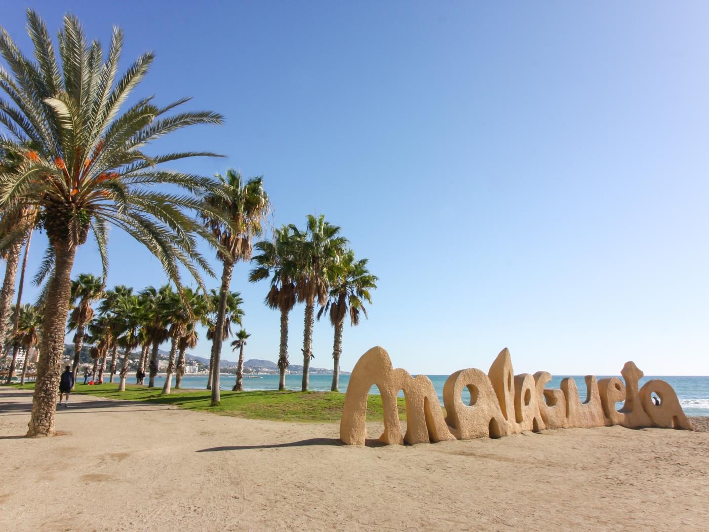 image PENTHOUSE SEAVIEW. Malaga Center Flat 36