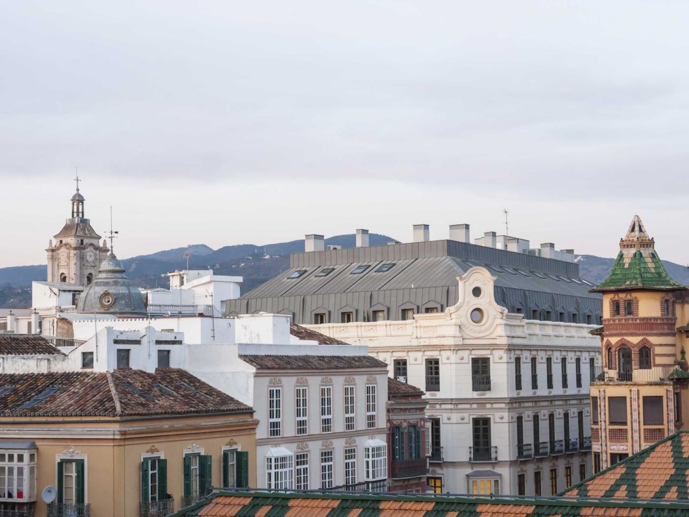 image Malaga Center Flat Holidays Atarazanas Market 24
