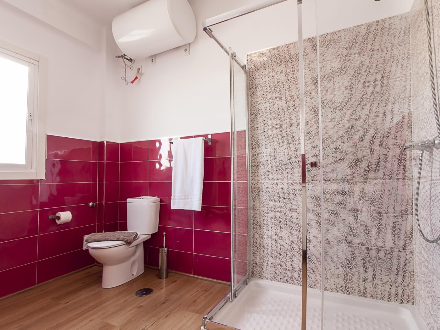 image Malaga Holidays City Center 6 bedrooms & Terrace 13