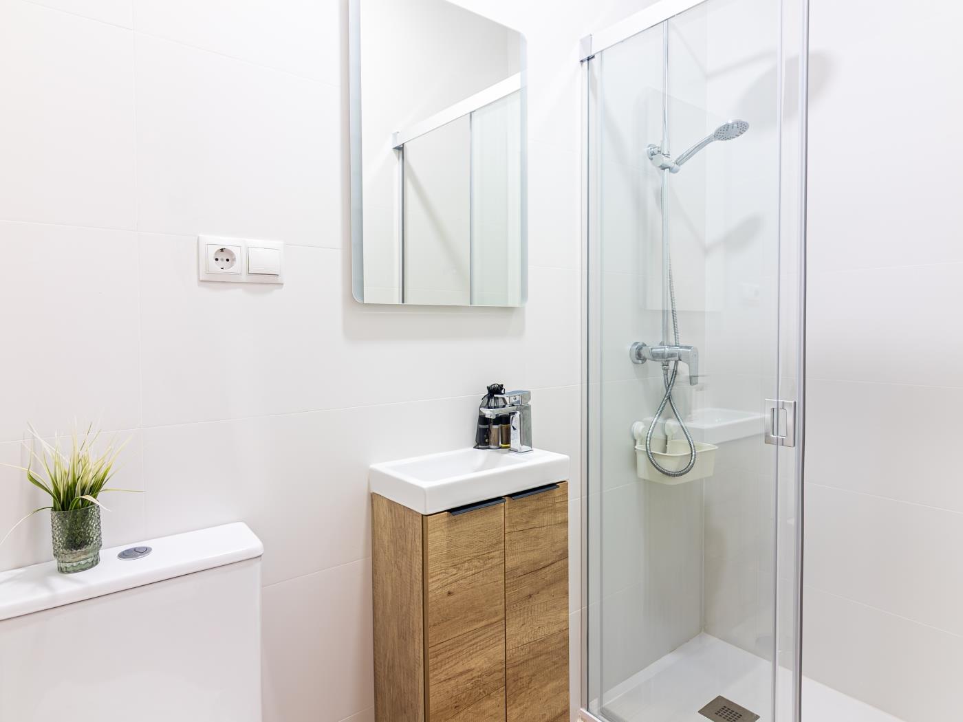 image Malaga Holidays City Center 6 bedrooms & Terrace 28