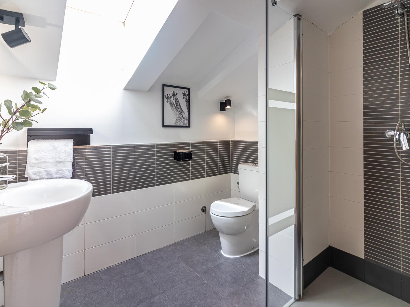 image Malaga Center Flat - SoHo Center Apartments Atico 11