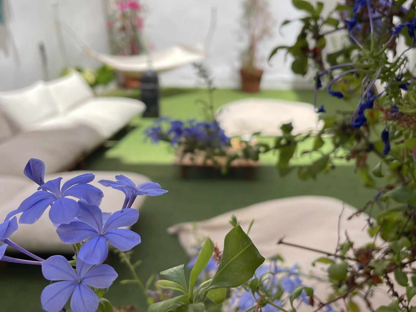 image Malaga Holidays City Center 5 bedrooms 43