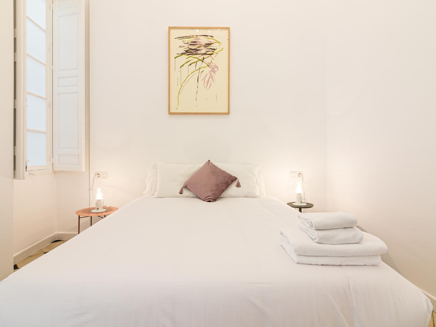 image Malaga Center Flat Balcony Picasso Plaza Merced 18