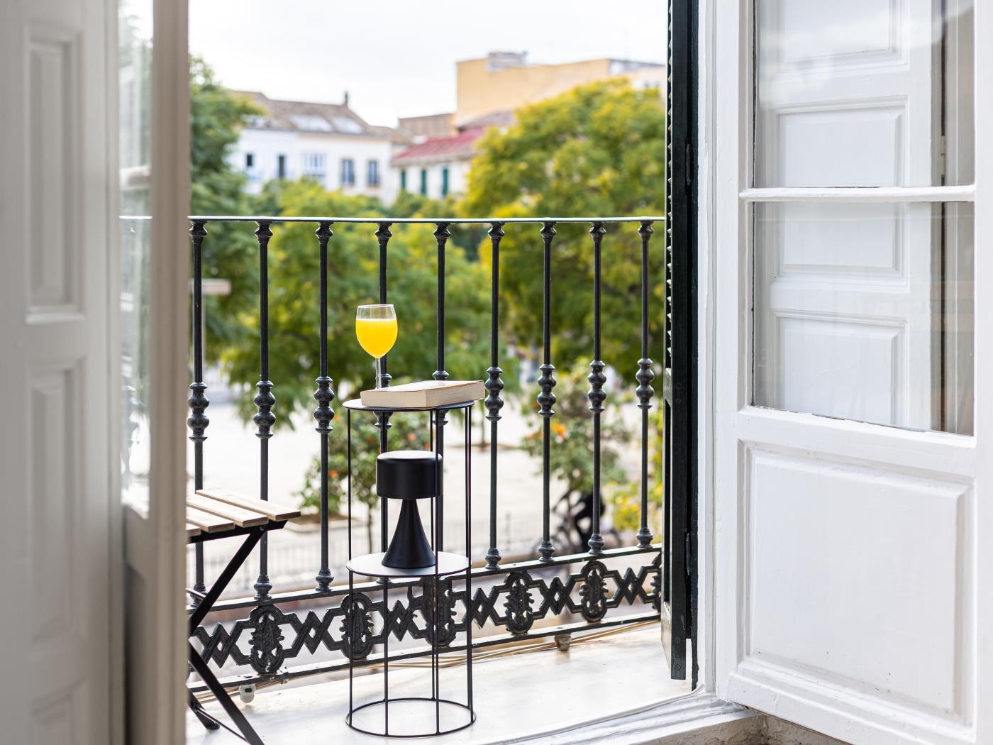 image Malaga Center Flat Balcony Picasso Plaza Merced 2