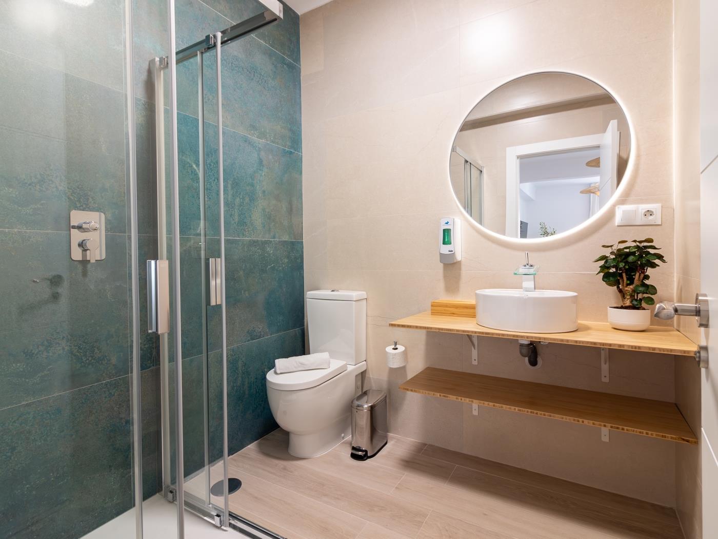 image Malaga Holidays City Center 5 bedrooms & Terrace 20